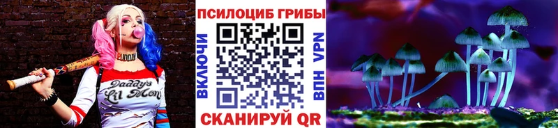 наркота  Борзя  Псилоцибиновые грибы ЛСД 