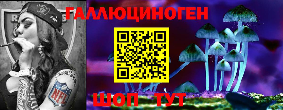Галлюциногенные грибы Psilocybine cubensis Борзя